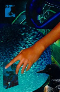 Toilet Time For Tiny Town