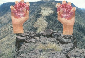 Vision Creation - Collaboration w/ Luke Kyp-Johnson