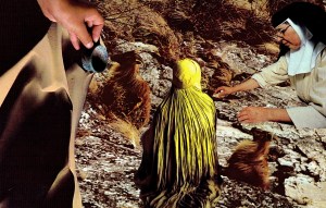 You Can Guide A Goat to Water, But You'll Make a Sheep Go to Church